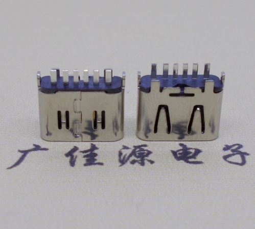 横沥镇Type-C6P母座立插H=6.25连接器