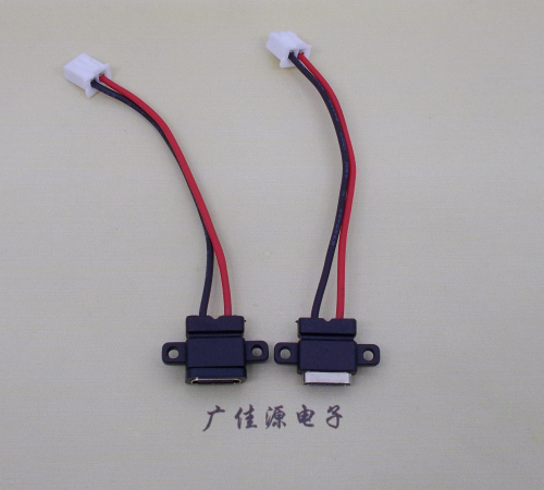 横沥镇简易type c2p防水母座注塑成型带双螺丝孔焊线式带线带接线端子单充电功能