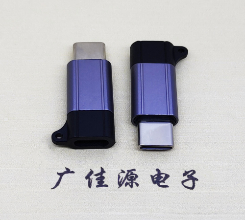 横沥镇Type-C母转Type-C公 USB3.1 PD100W快冲接口